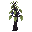 Linebius