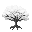 Nin