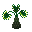 Sybanthus